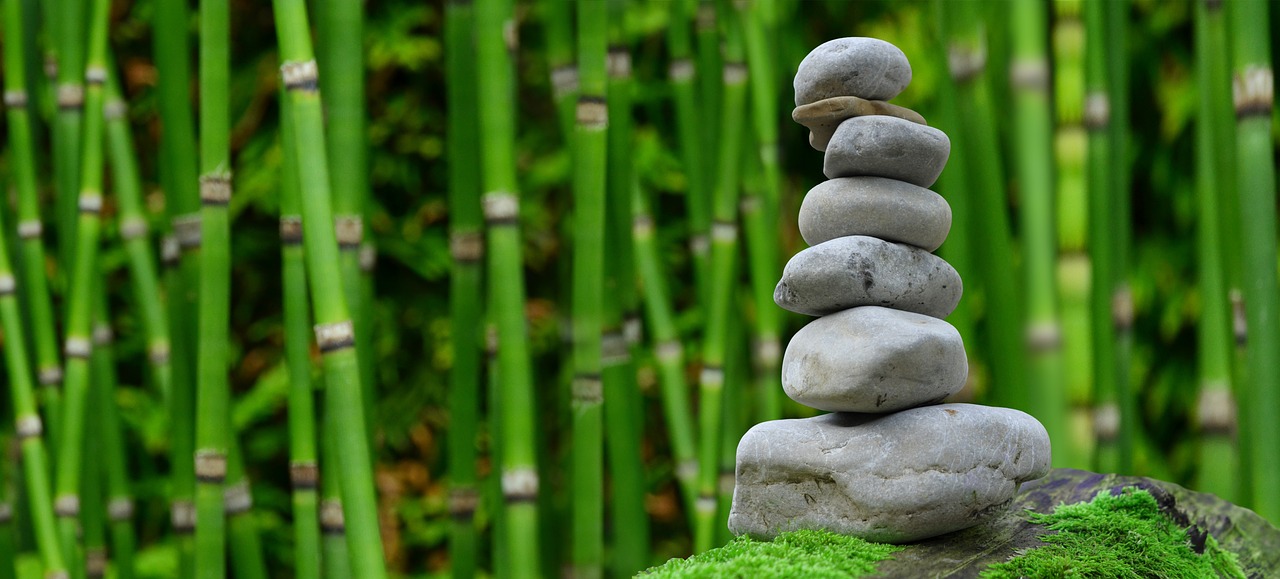 Meditación en Micentro Las Rozas
